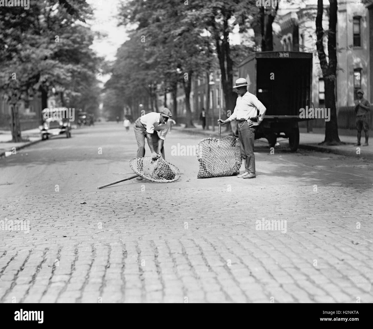 Deux sacs de chien chien capture dans Street, Washington DC, USA, National Photo Company, juillet 1924 Banque D'Images