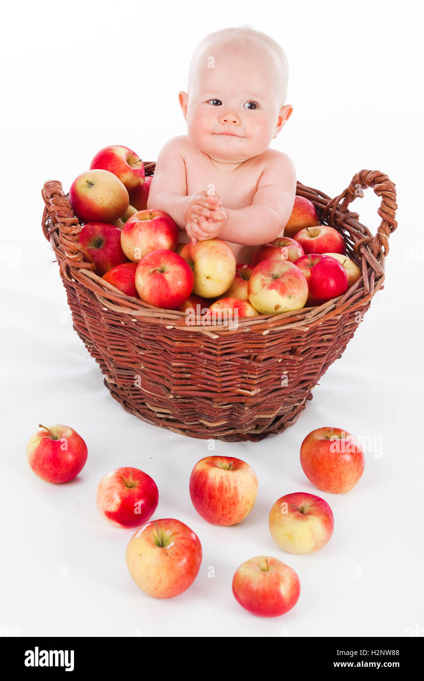 Bébé, 10 mois, dans un panier plein de pommes Banque D'Images