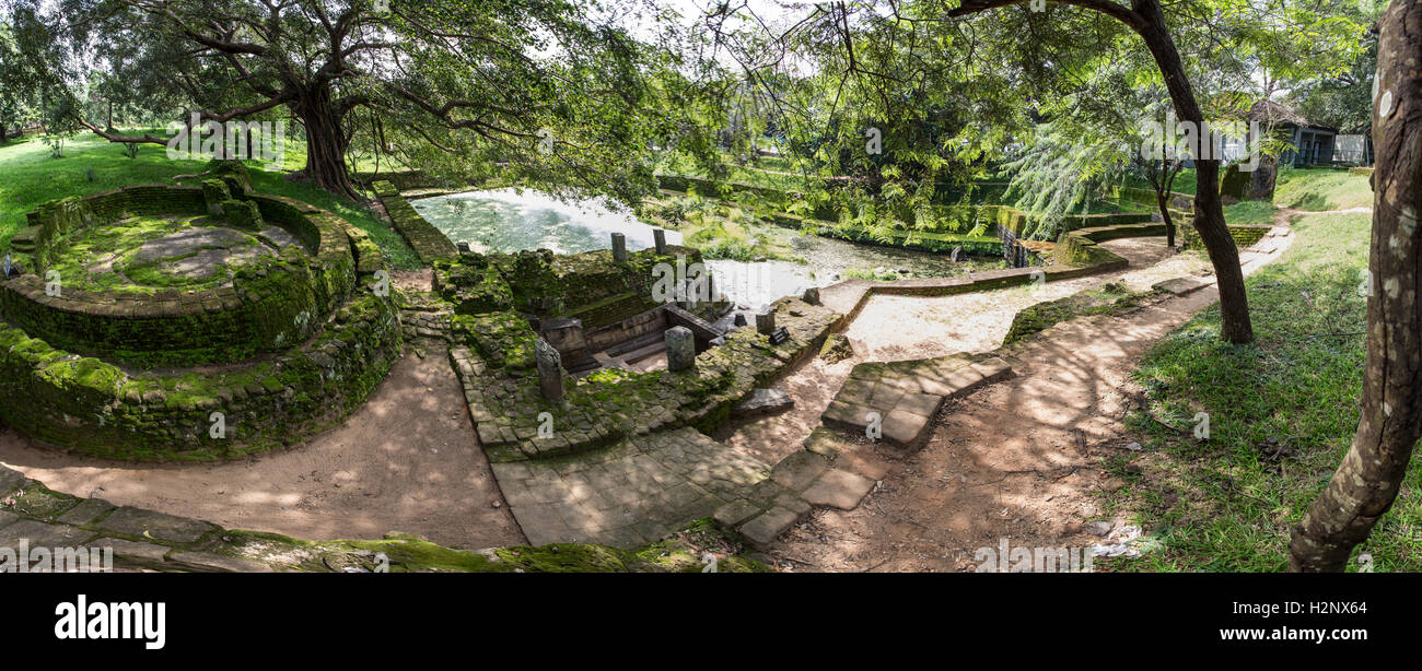 Envahi par les Bains royaux, Polonnaruwa. Une piscine multi-niveaux Système au complexe de palais du roi Nishshanka Malla Banque D'Images