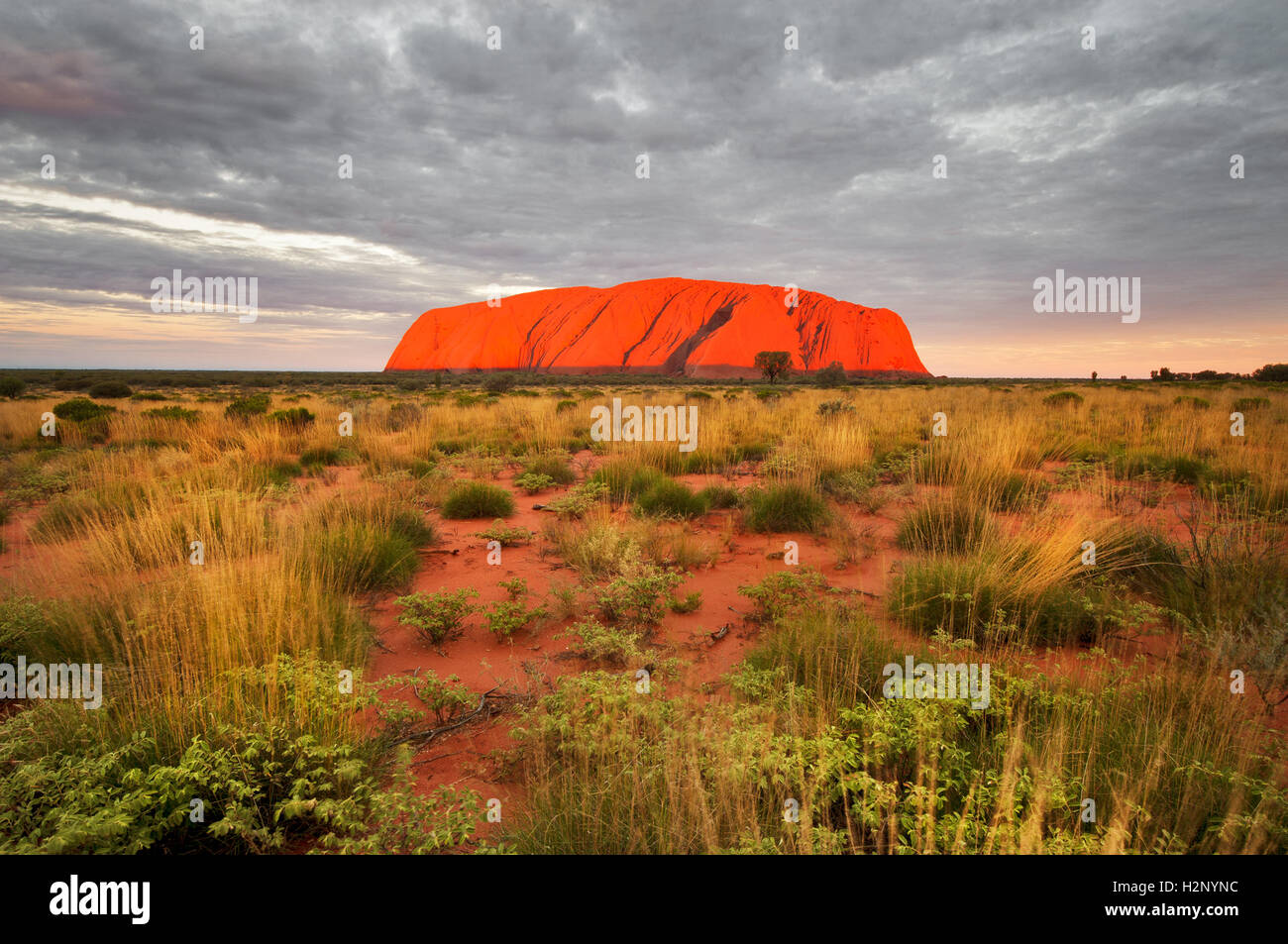 Uluru rougeoyant au coucher du soleil. Banque D'Images