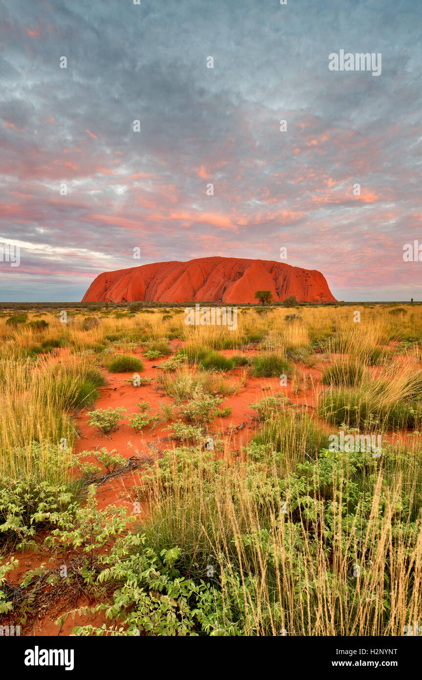 Majestic Uluru dans d'incandescence. Banque D'Images