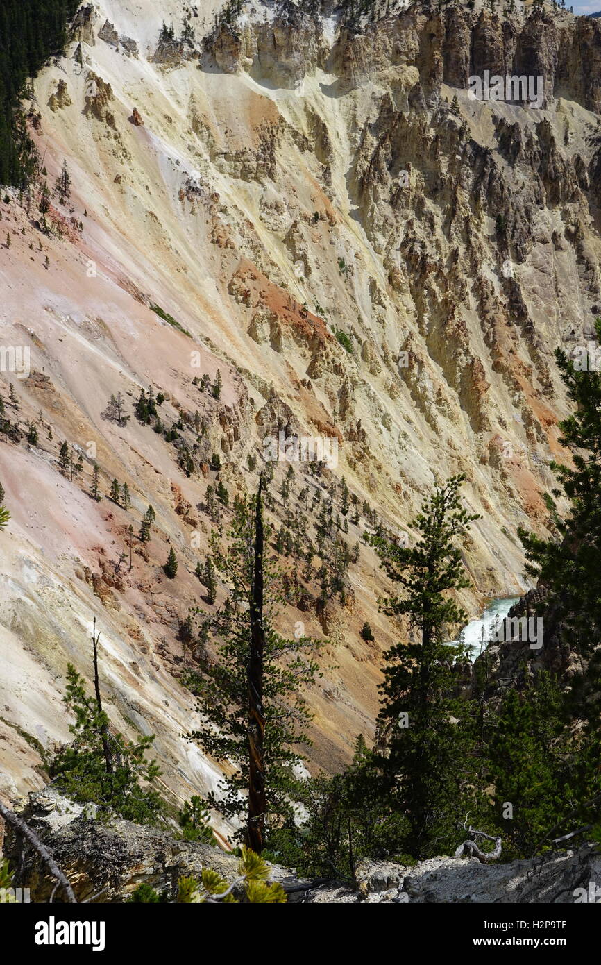 Grand canyon de la Yellowstone River. Les formations, principalement de rhyolite, obtenir leur couleur à partir de composés de fer intégré Banque D'Images