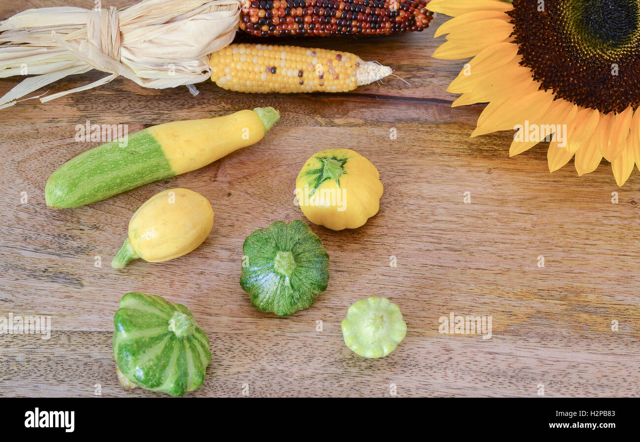 Récolte précoce display, bébé courgette et squash sur la surface en bois, décorées avec le maïs séché un tournesol Banque D'Images