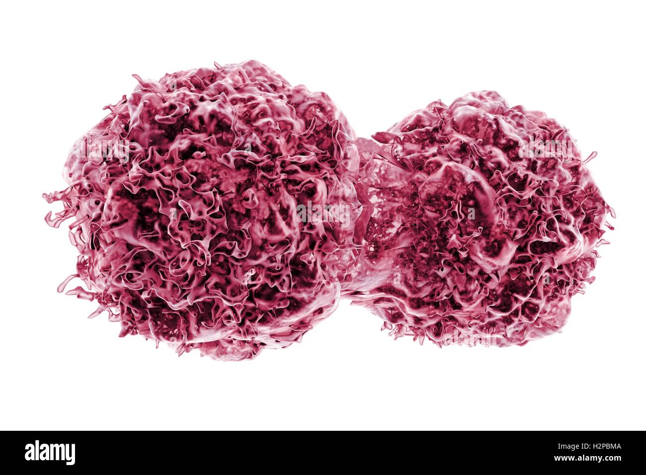 La division des cellules de cancer, l'illustration de l'ordinateur. Banque D'Images