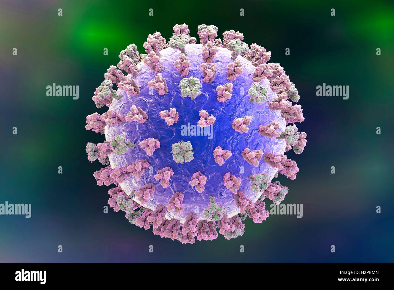 Virus de l'influenza. Illustration montrant l'ordinateur de la glycoprotéine de surface hémagglutinine pointes (violette) et la neuraminidase (vert). Banque D'Images