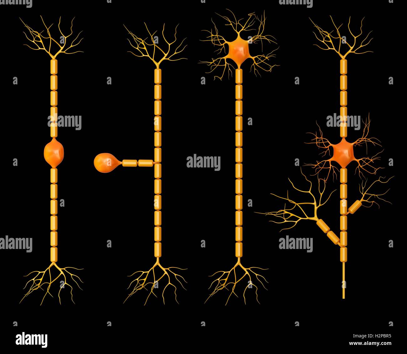 Illustration des connexions entre les neurones du cerveau. Banque D'Images