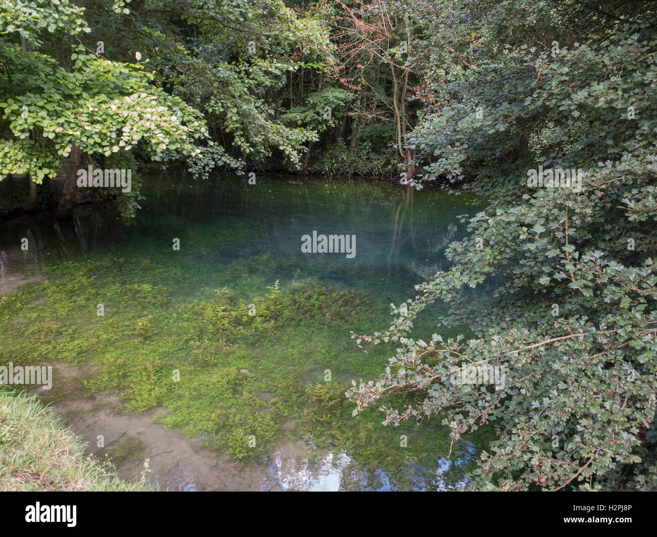 Les sources d'eau chaude à tavers, près de Beaugency, Loir et Cher, France Banque D'Images