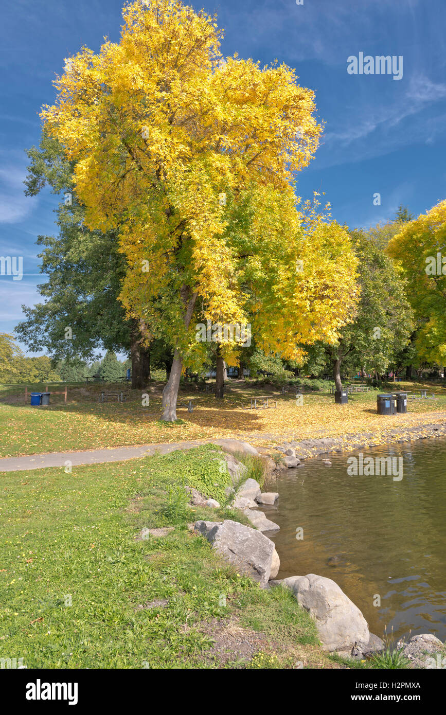 Le premier signe de la saison d'automne au parc du lac bleu de l'Oregon. Banque D'Images