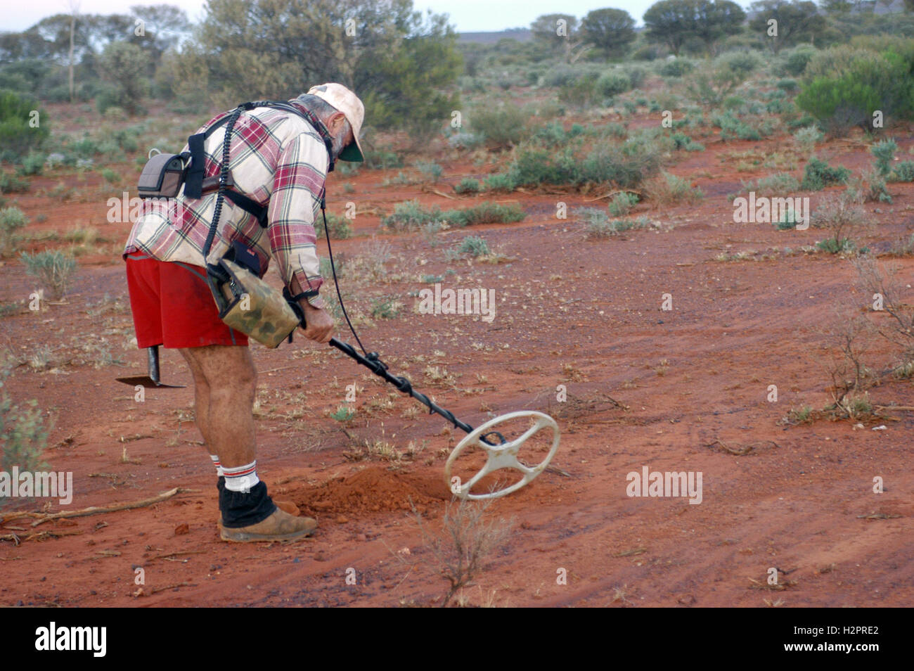 Chercheur d'or à la recherche de pépites d'or avec un détecteur de métaux  dans le bush australien dans l'ouest de l'Australie Photo Stock - Alamy