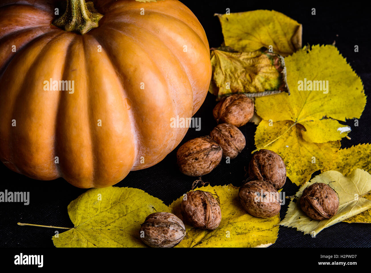 Citrouille Haloween Banque D'Images