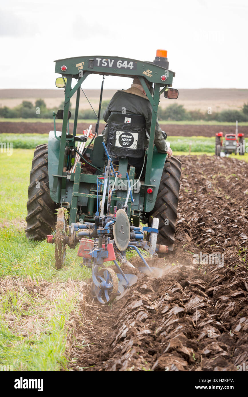 Cottenham, Cambridgeshire, UK 1er octobre 2016. Cinquante concurrents Prenez part à la 174e Cottenham and District Association Labour labour annuel dans les fens, près de Cambridge. L'Association est que l'on croit être le premier du genre dans le pays et a commencé en 1842 avec 12 charrues tirés par des chevaux en compétition contre l'autre. La tradition voit diverses classes de tracteur et de charrues qui rivalisent les uns avec les autres en fonction de critères établis, y compris la meilleure des lignes droites, de l'homogénéité et de finition. Julian crédit Eales/Alamy Live News Banque D'Images