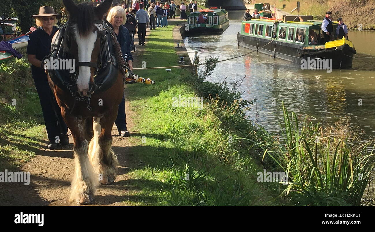 Wey & Canal Arun Trust 200 e anniversaire - cheval tirant 15-04 à Loxwood, West Sussex Banque D'Images