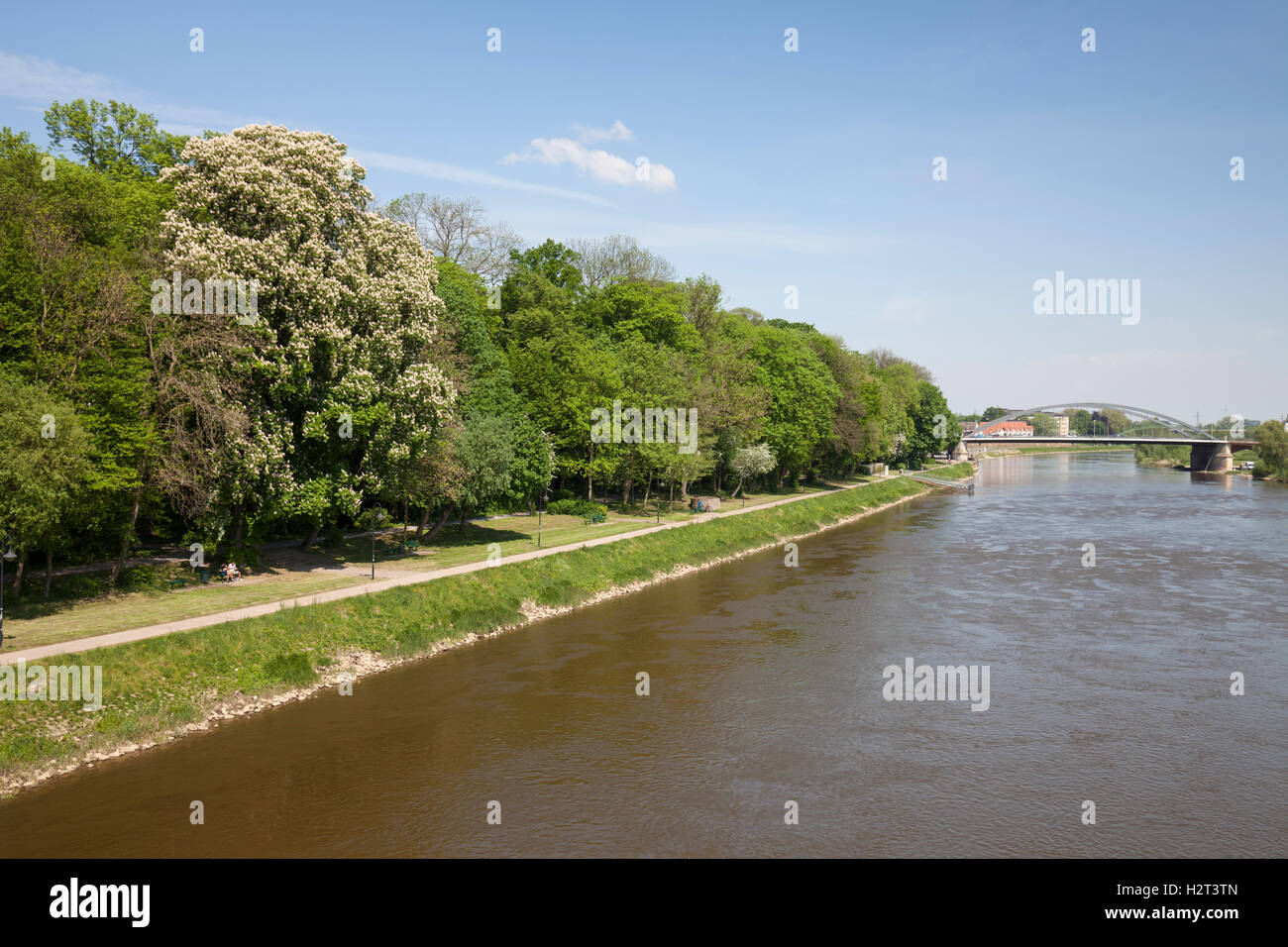 Promenade le long de la rivière Weser, Minden, Rhénanie du Nord-Westphalie, Allemagne Banque D'Images