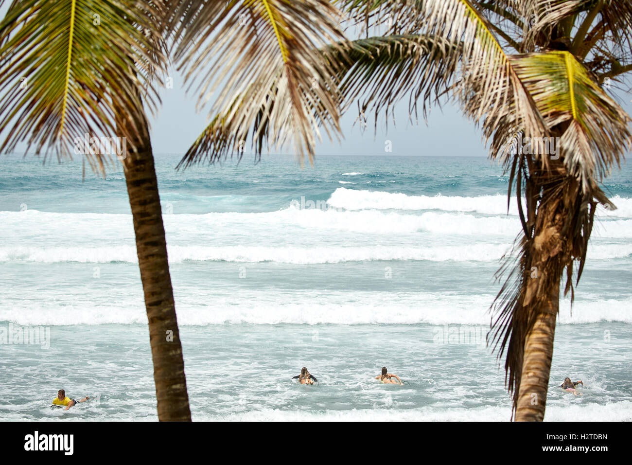Côte atlantique de la Barbade Bethsabée surfers de jolies jeunes filles Chers adolescents surf surfers copyspace gros rocher de surf Banque D'Images