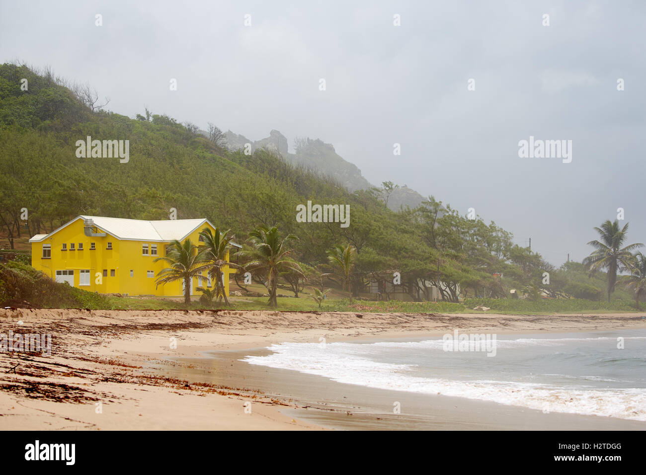 La Barbade côte atlantique barclays park lakes Beach grande maison jaune dog walkers sable couleur couleur lumineux de marche en vous promenant sa Banque D'Images