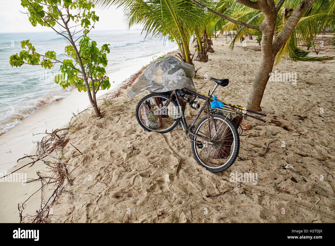 Pêcheur de l'écorcher la Barbade Hastings beach bike Savannah Hotel pêcheur autochtone travaillant sous tar poling cycle fiche sable poissons Banque D'Images