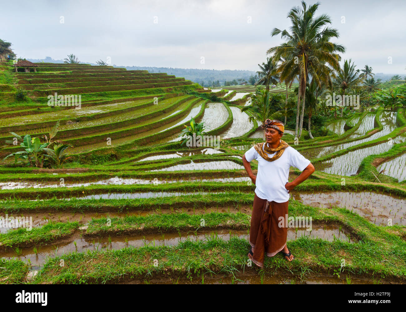 L'homme sur les rizières en terrasses de Jatiluwih. Bali. L'Indonésie, l'Asie. Banque D'Images