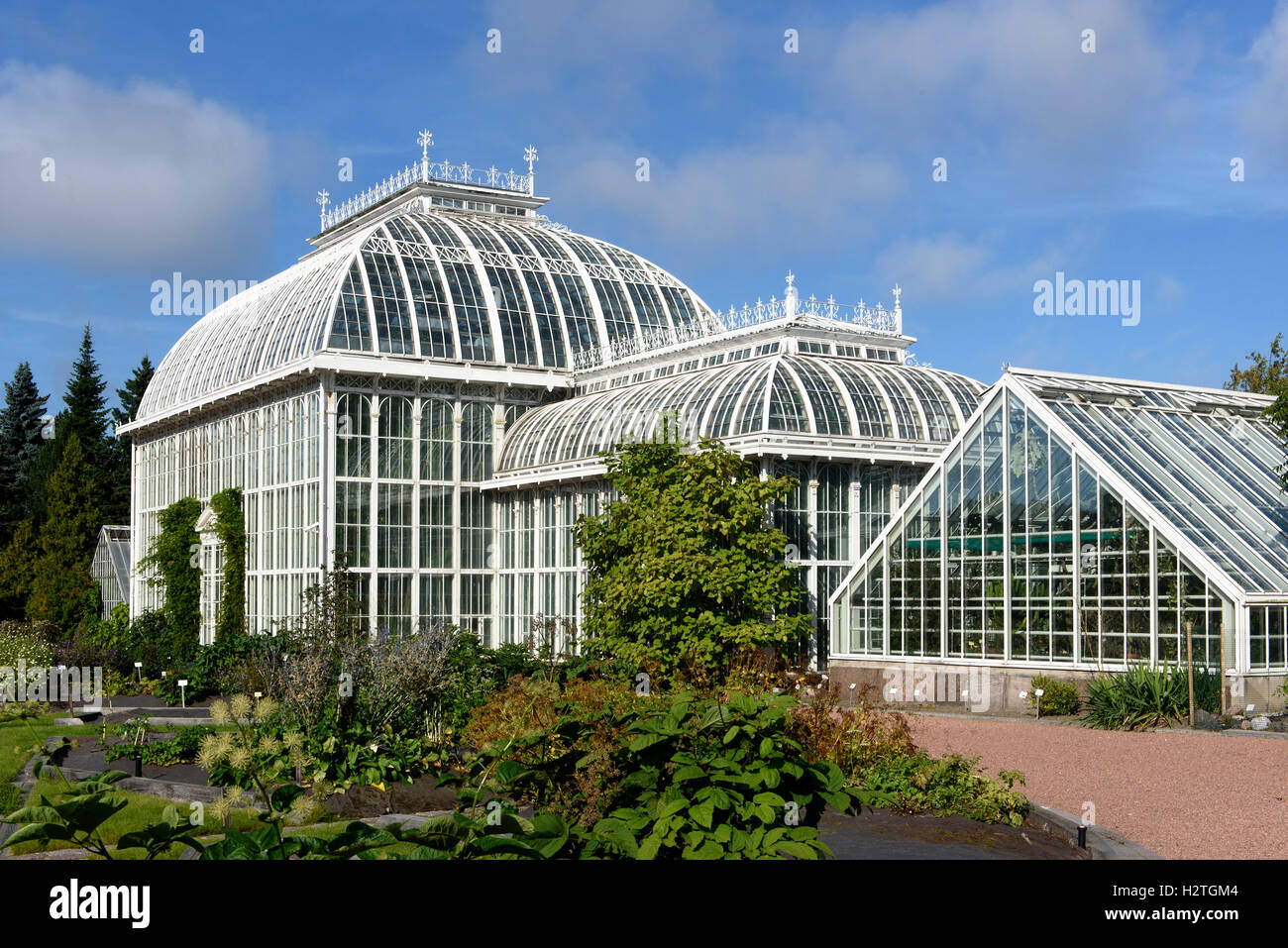 Dans le jardin botanique, Kaisaniemi Helsinki, Finlande Banque D'Images