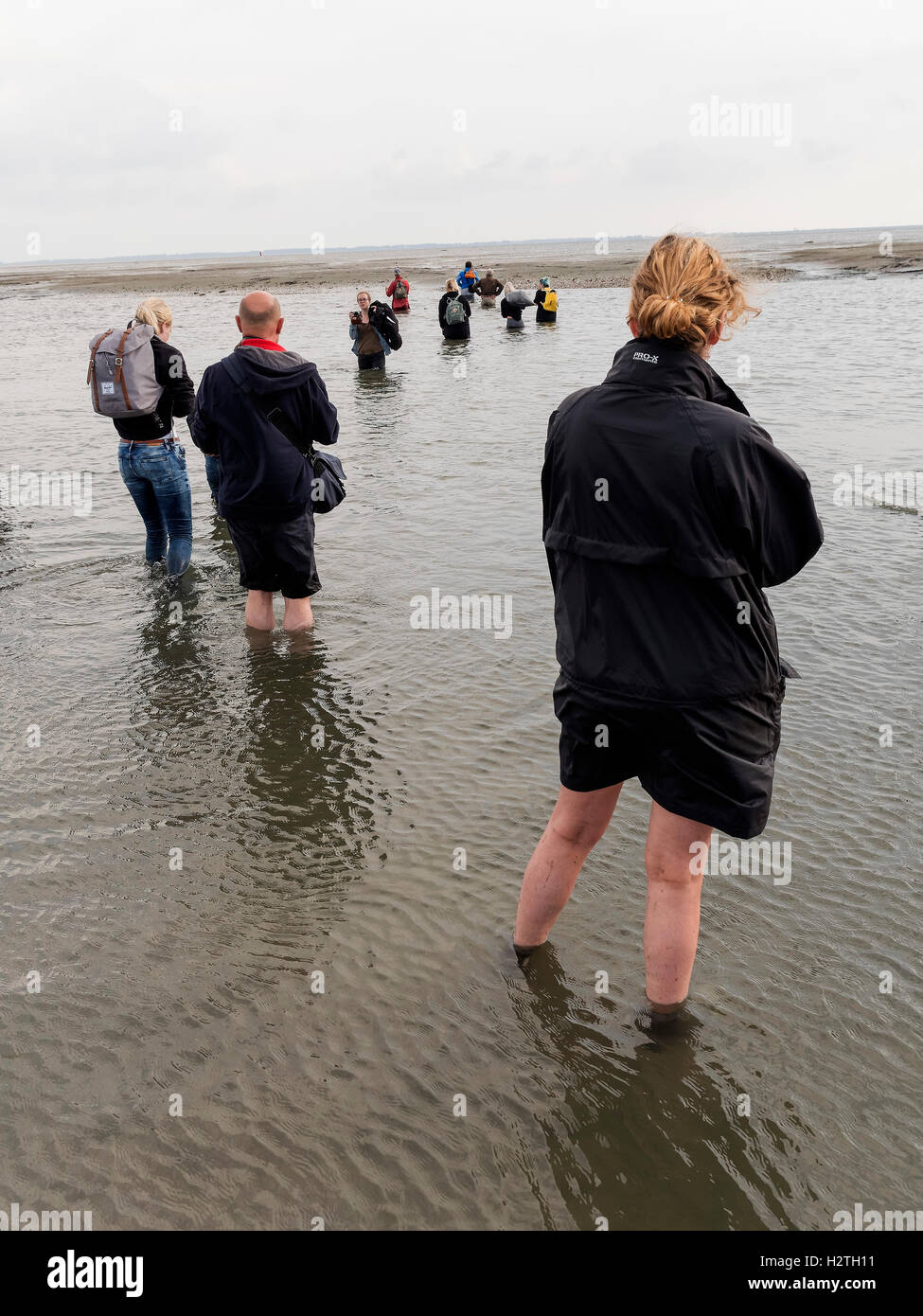 Tour Guides, mer des Wadden à Schiermonnikoog Island province frise, Pays-Bas, site du patrimoine mondial de l'UNESCO Banque D'Images