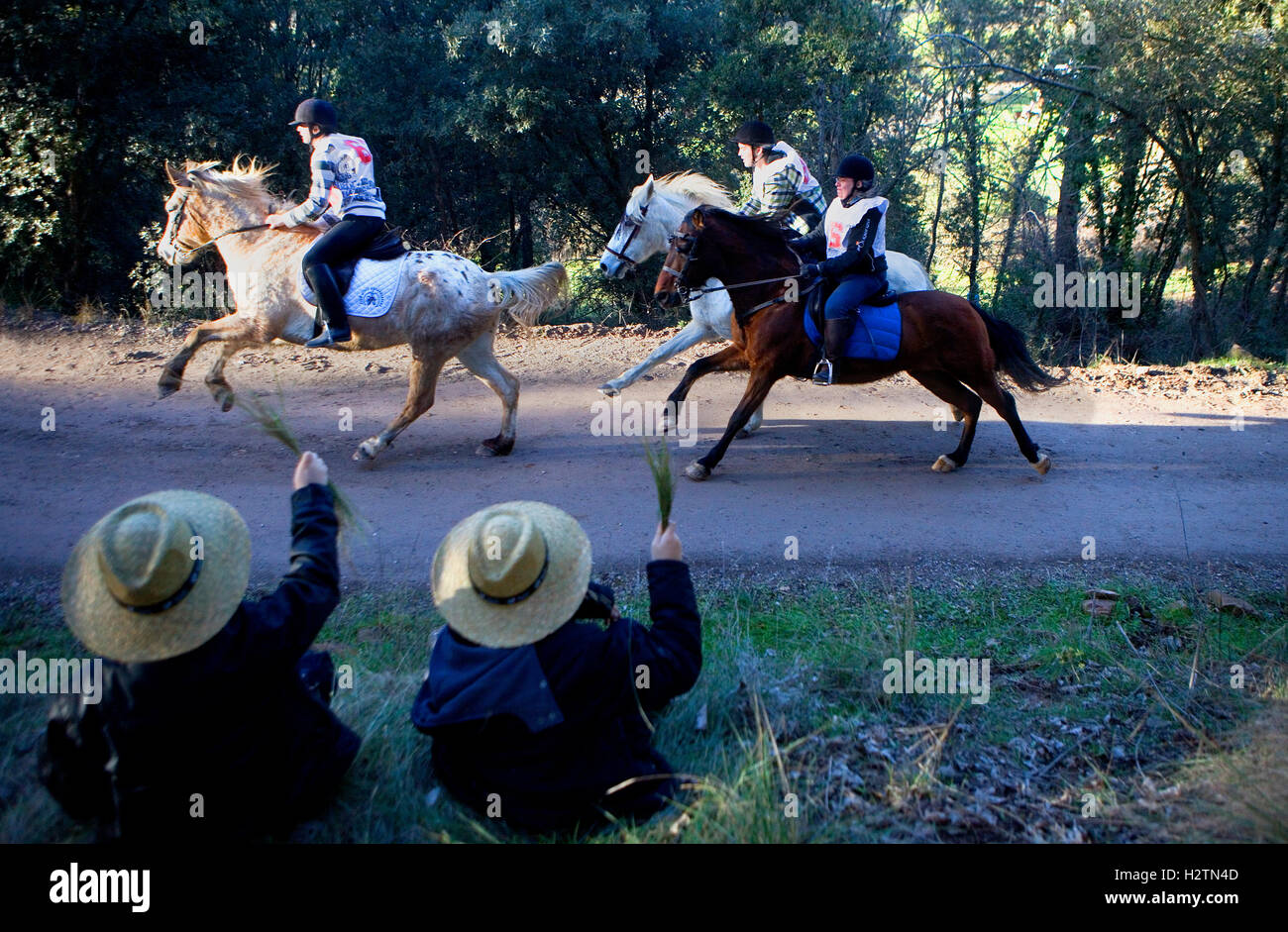 'Festa dels Traginers", Fête de l'muletier dans Shanghai. Course de chevaux. Comarca del Bages. Eix del Llobregat, Catalogne, Espagne. Banque D'Images