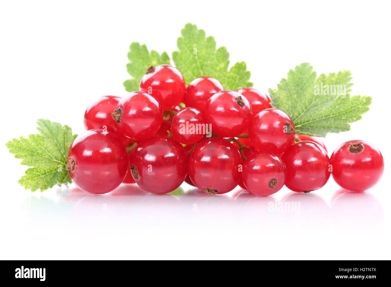 Les baies de cassis Groseille fruits frais Fruits isolés sur un fond blanc Banque D'Images