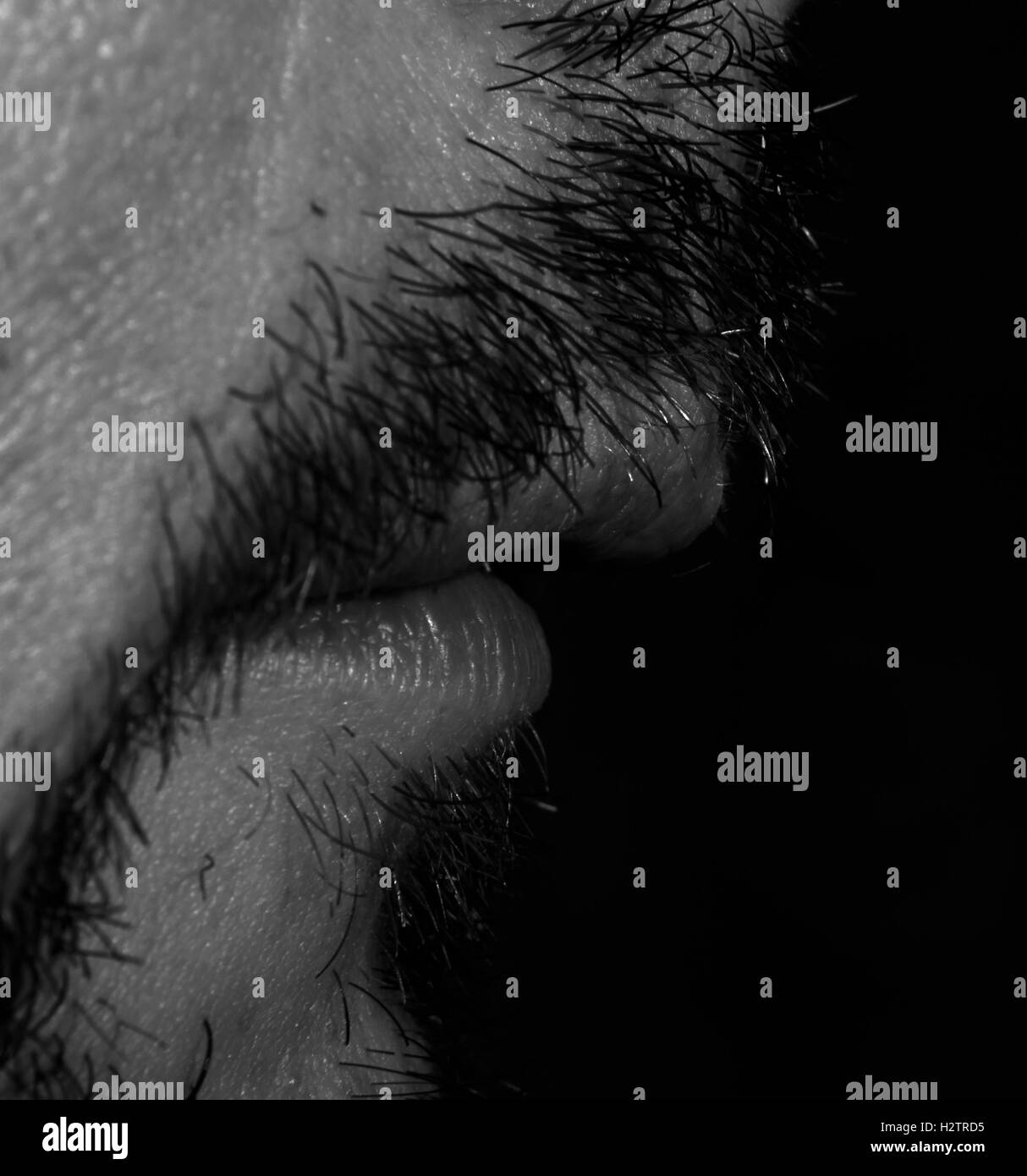 Close up of middle aged man's beard. Banque D'Images