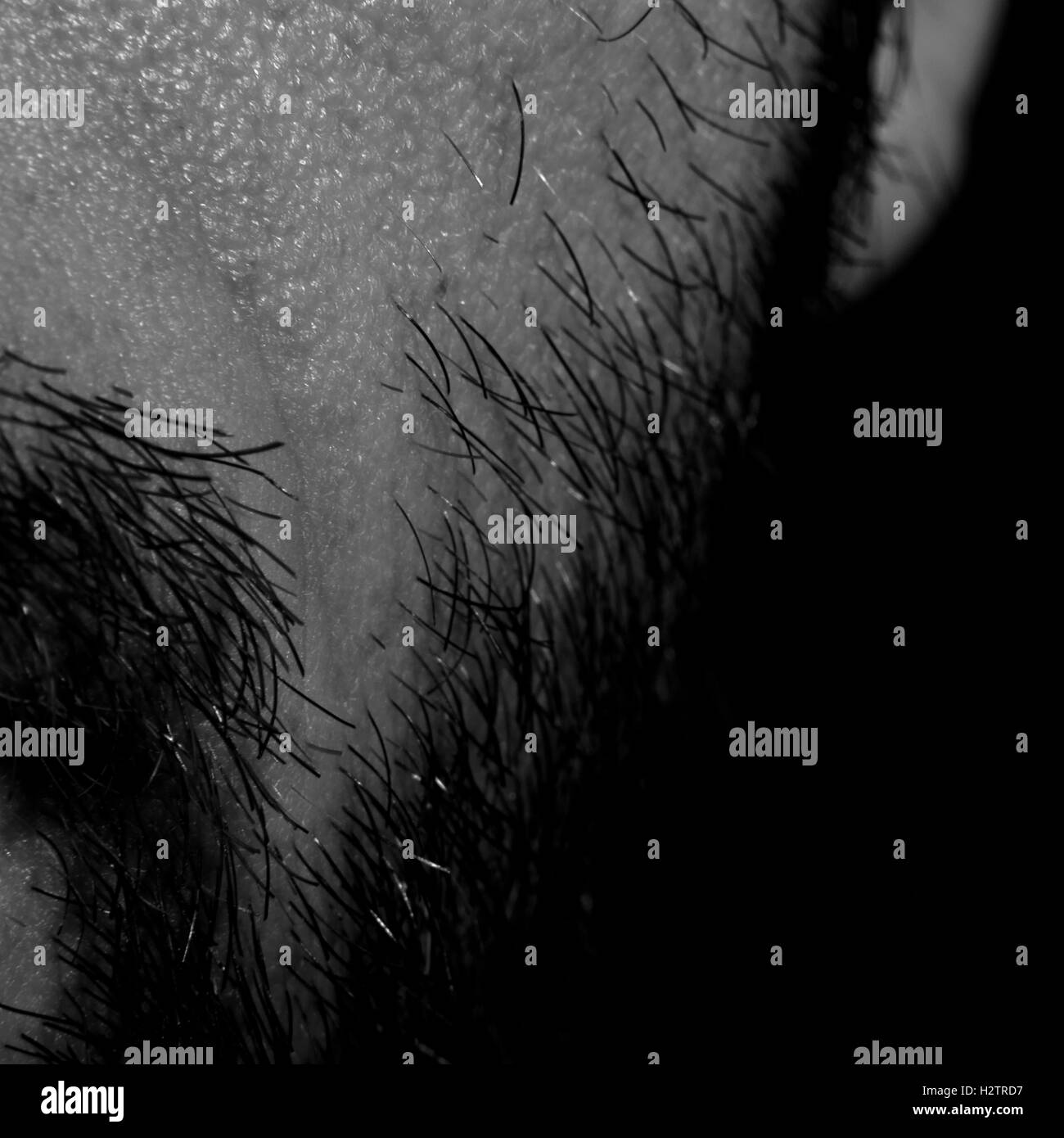 Close up of middle aged man's beard. Banque D'Images