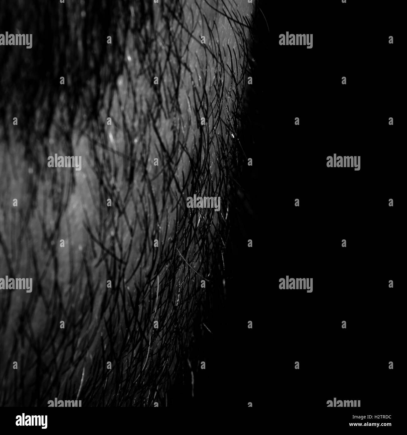 Close up of middle aged man's beard. Banque D'Images