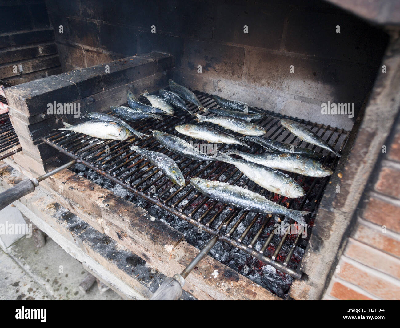 Les sardines salées grillées sur un barbecue des. De gros blocs de sel de roche de la saveur du poisson frais juste après il est placé sur un gril chaud Banque D'Images