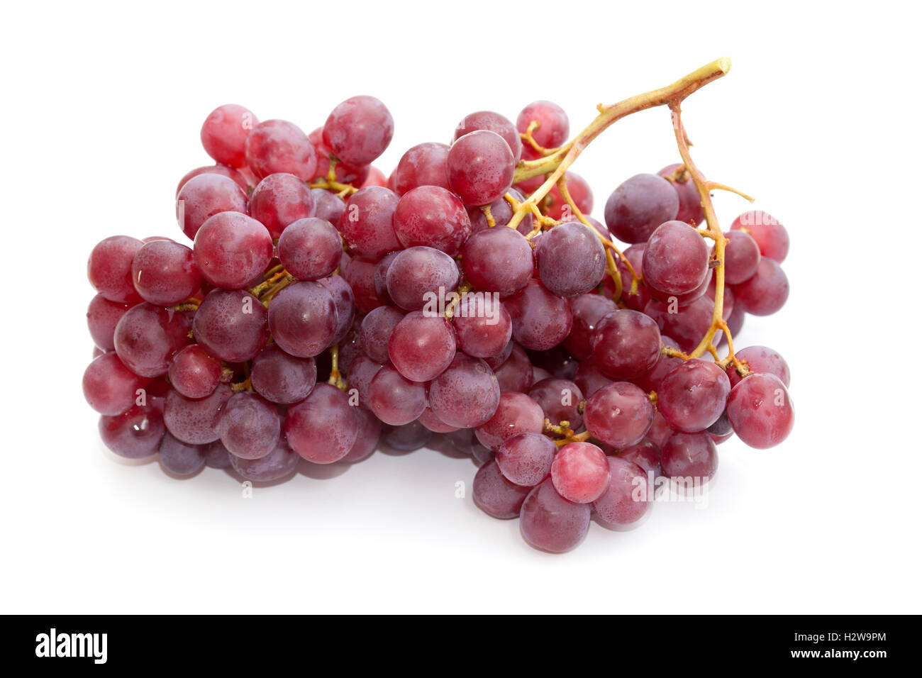 Ou grappes de raisin pourpre isolé sur fond blanc Banque D'Images