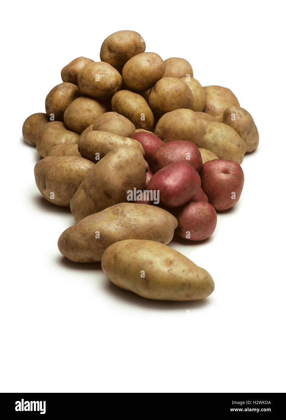 Un tas de différents types de pommes de terre isolé sur fond blanc Banque D'Images