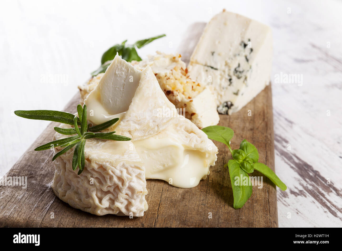 Variation fromage de luxe Banque D'Images