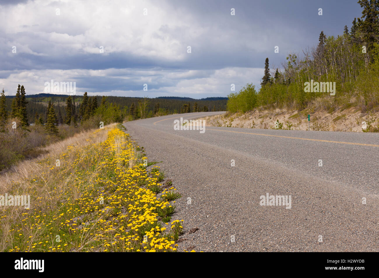 Une route de campagne déserte le Territoire du Yukon, Canada Banque D'Images Une route de campagne déserte le Territoire du Yukon, Canada Banque D'Images