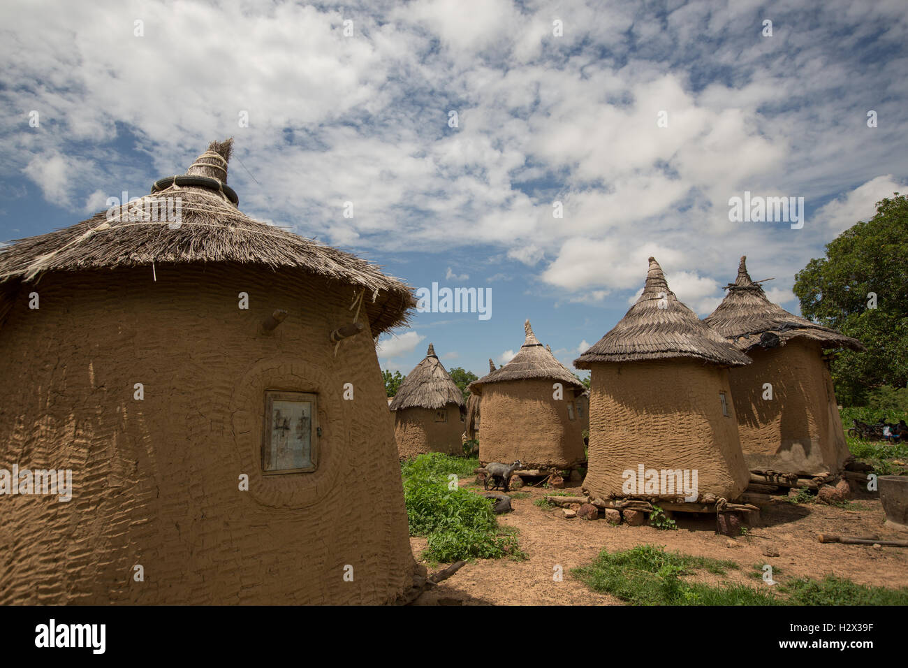 Maisons traditionnelles de boue et d'herbe de Réo, Burkina Faso, Afrique de l'Ouest. Banque D'Images
