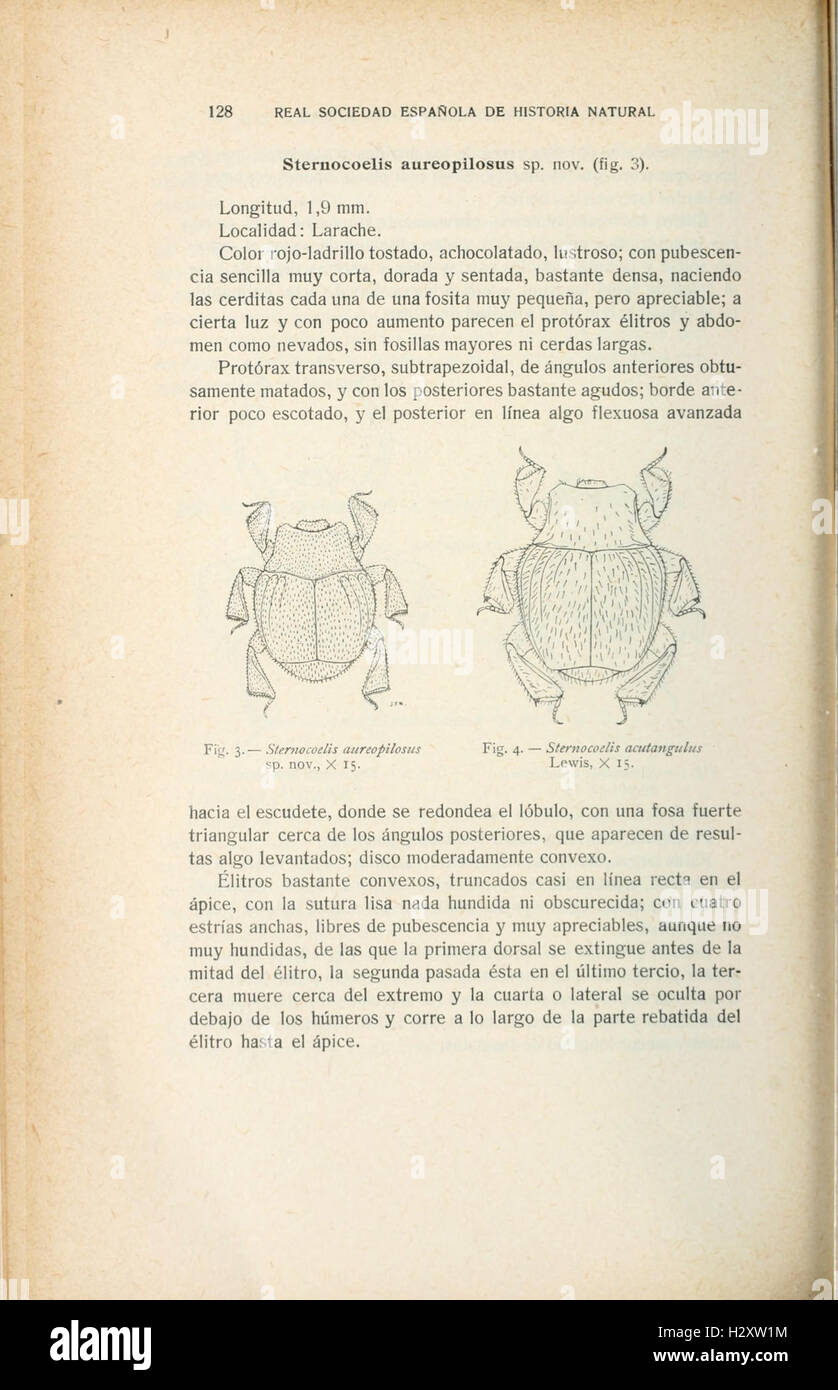 Real Sociedad Española de Historia Natural (page 128) BHL235 Banque D'Images