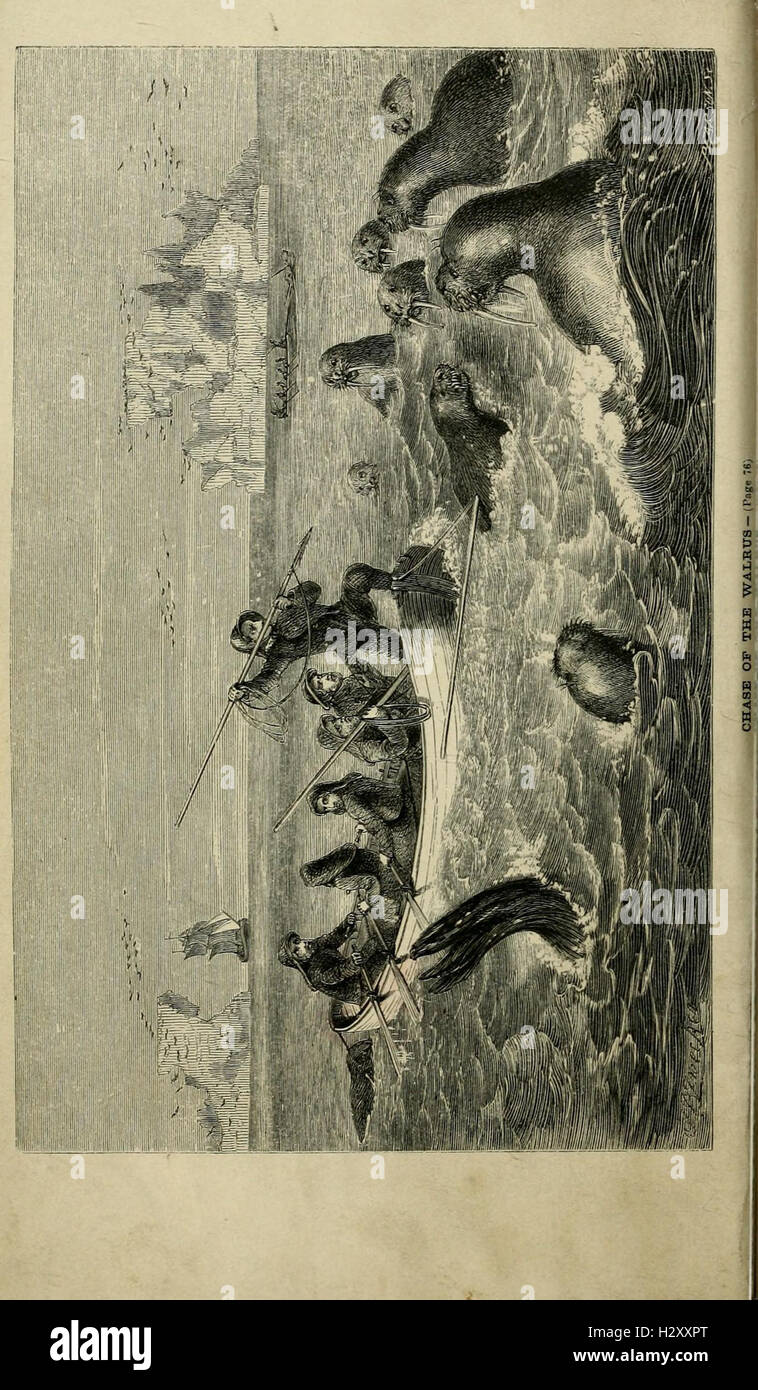 Cette plaque présente des illustrations du comportement saisonnier des hippocampes, illustrant leur habitat, leurs rituels d'accouplement et leurs adaptations à l'environnement marin. Banque D'Images