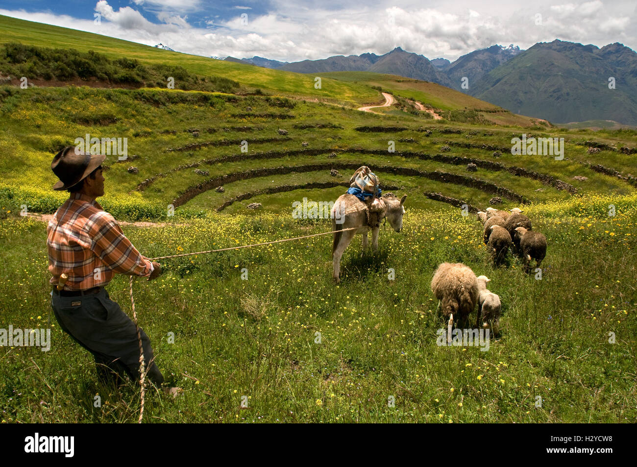 Un pasteur dans le site archéologique de Moray dans la Vallée Sacrée près de Cuzco. Moray - est le nom de la ruines Incas près de l'à Banque D'Images