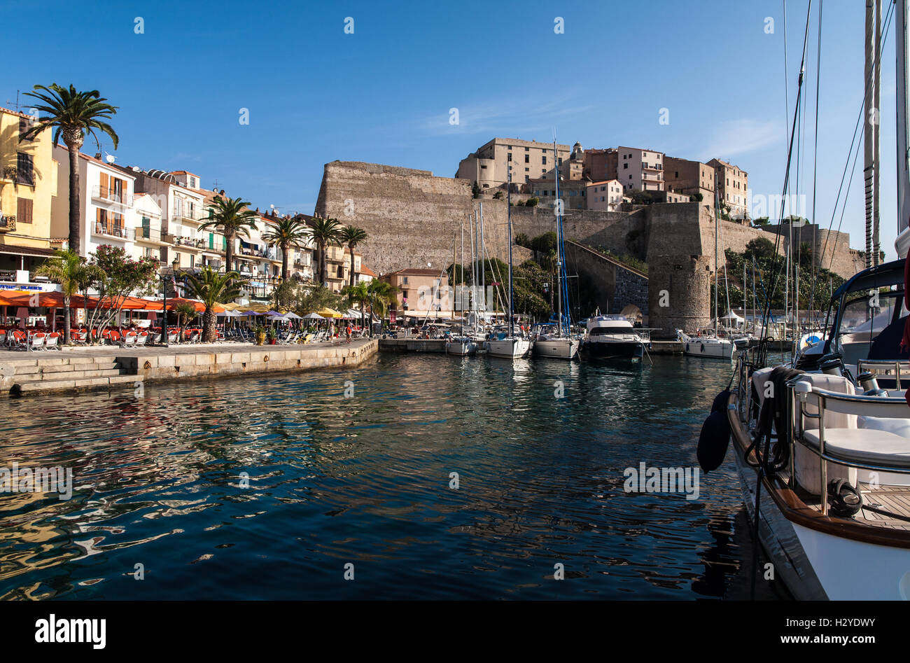 Calvi, Corse Banque D'Images