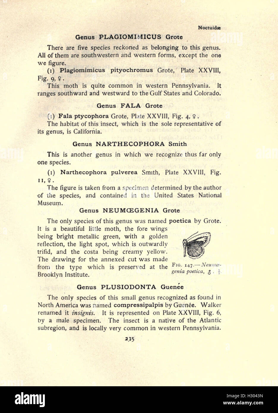 Ce livre fournit un guide illustré sur les espèces de mites, en se concentrant sur leur identification, leurs comportements et leurs rôles écologiques, avec des descriptions détaillées et des illustrations. Banque D'Images