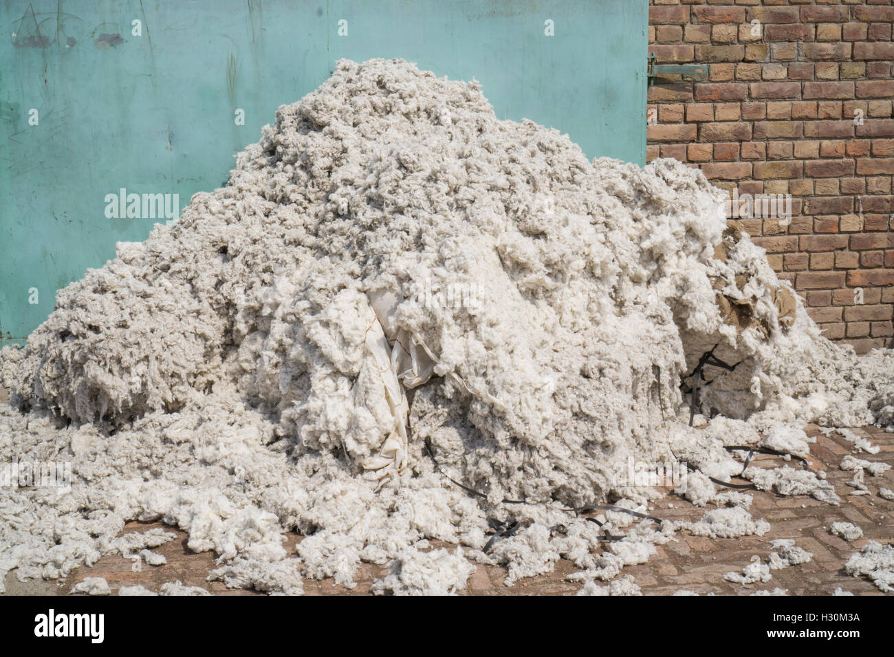 Le coton brut , Pakistan Multan Cotton Mill Banque D'Images