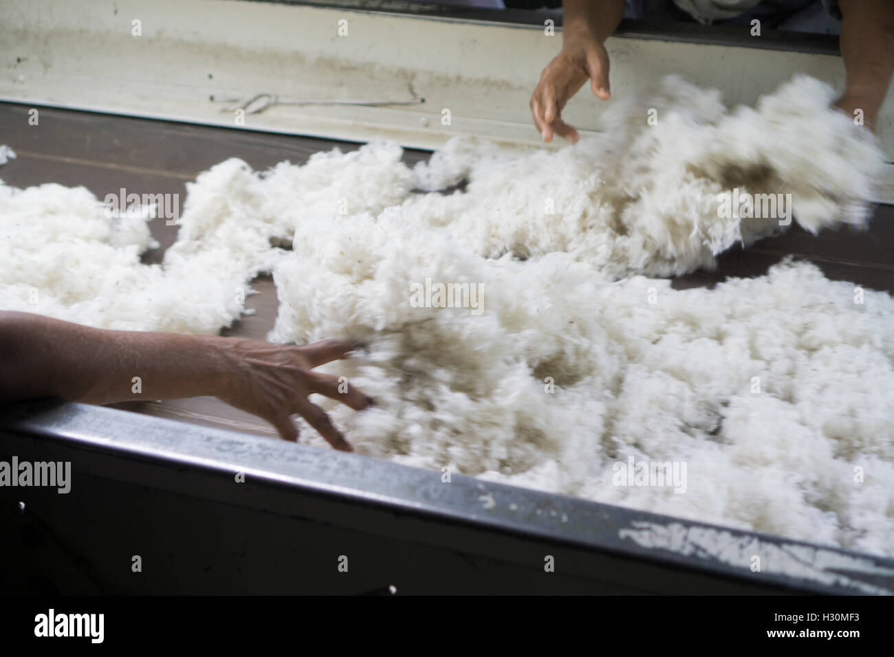 Les travailleurs de l'usine de coton femelle Multan Pakistan Banque D'Images