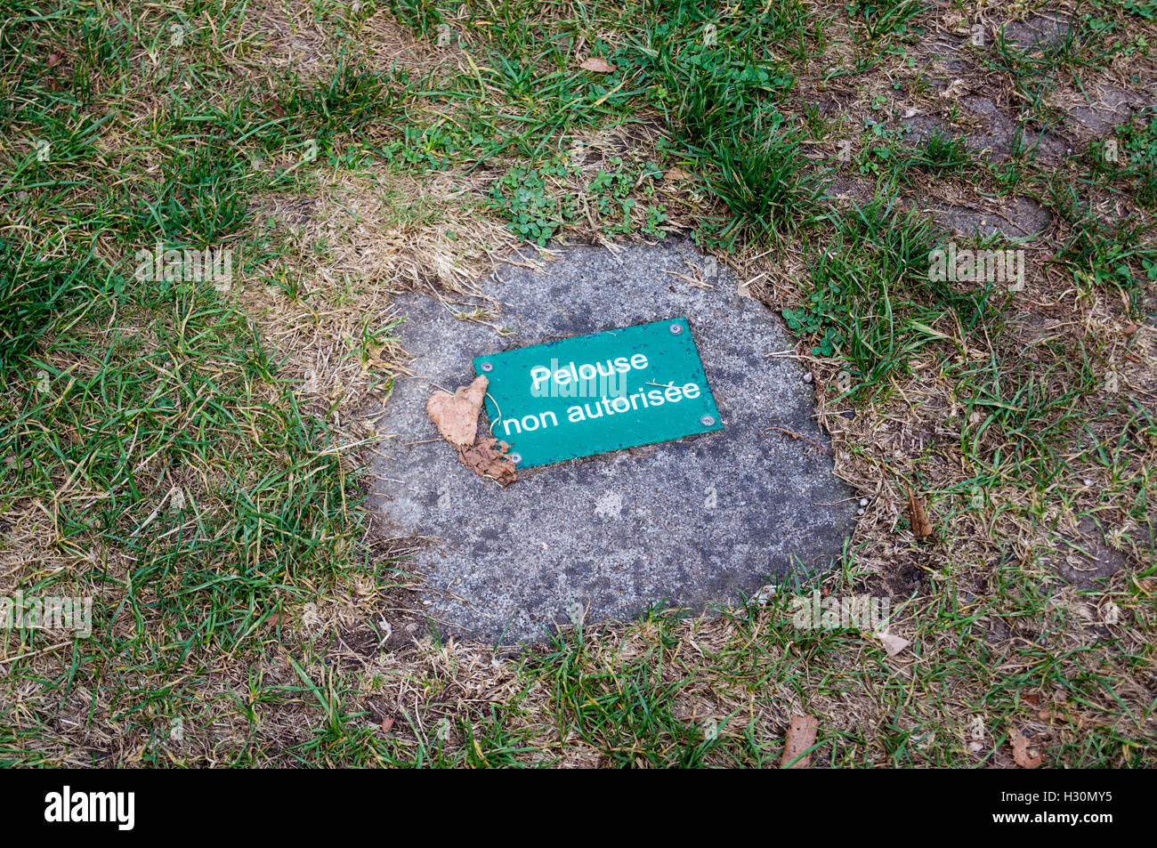 Garder de l'herbe signe, Parc de la pépinière, les jardins publics, Nancy, Meurthe-et-Moselle, (Grand Est), France Banque D'Images