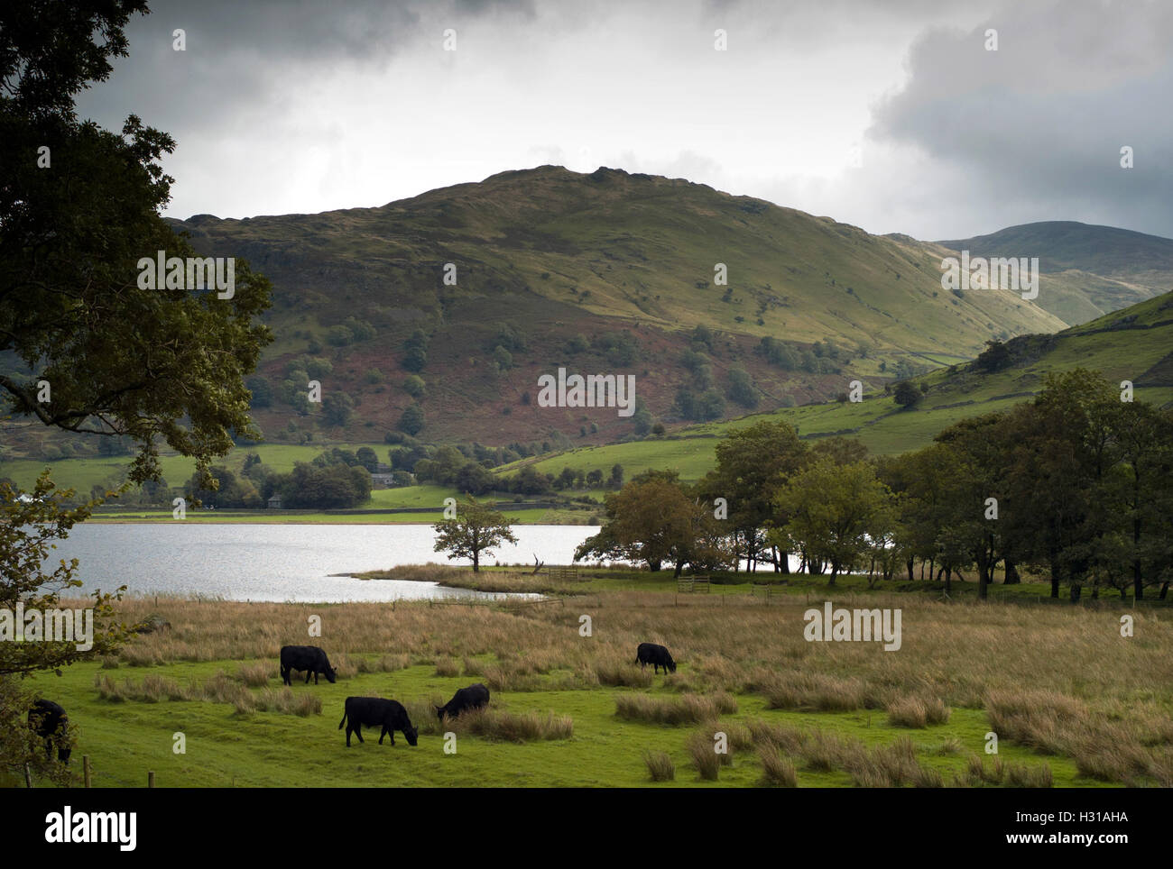 Frères de l'eau, zone de Patterdale, Lake District National Park Banque D'Images