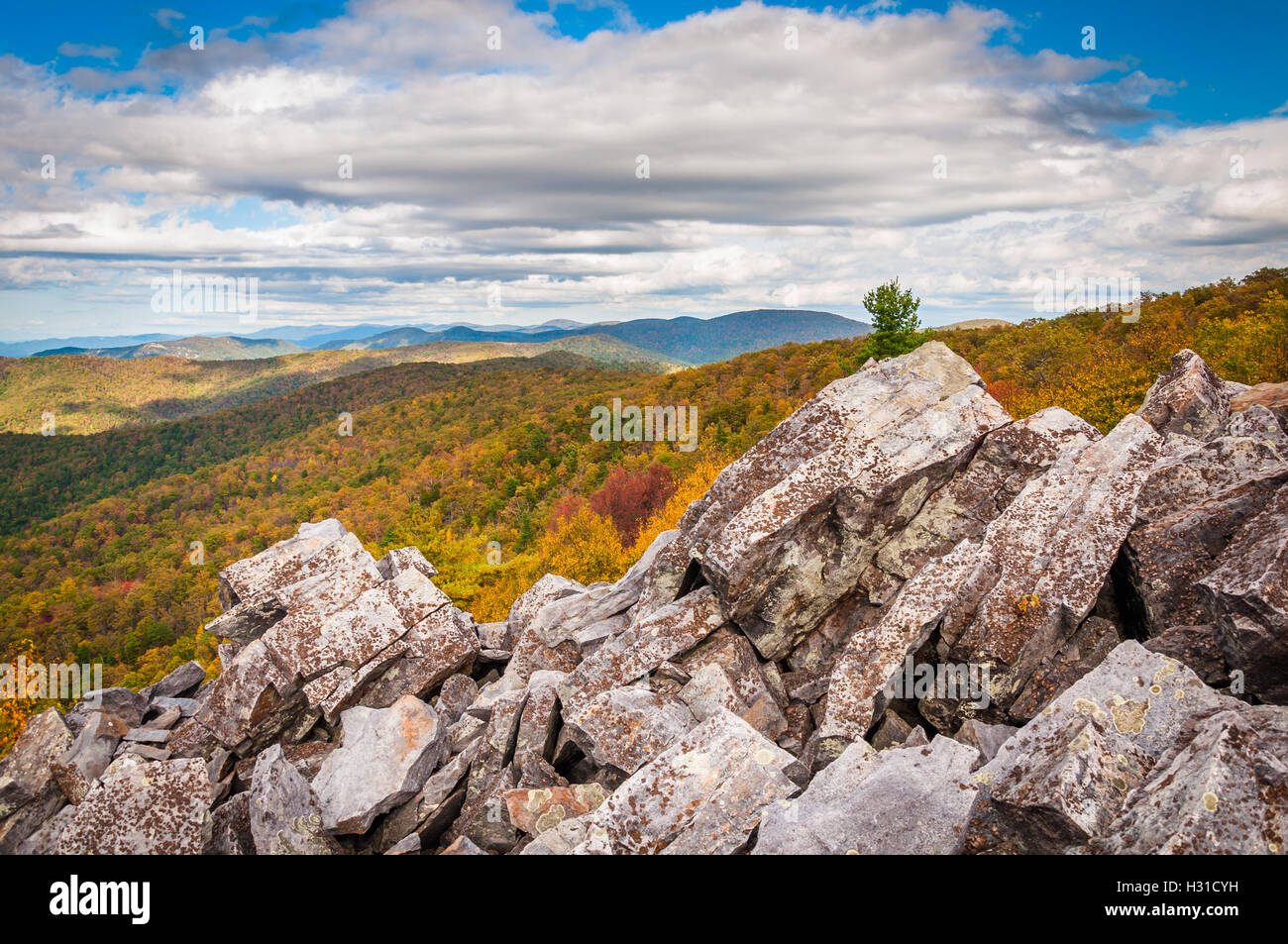 Voir l'automne de la Blue Ridge Mountains de la boulder-sommet couvert de Blackrock, dans le Parc National Shenandoah, en Virginie. Banque D'Images