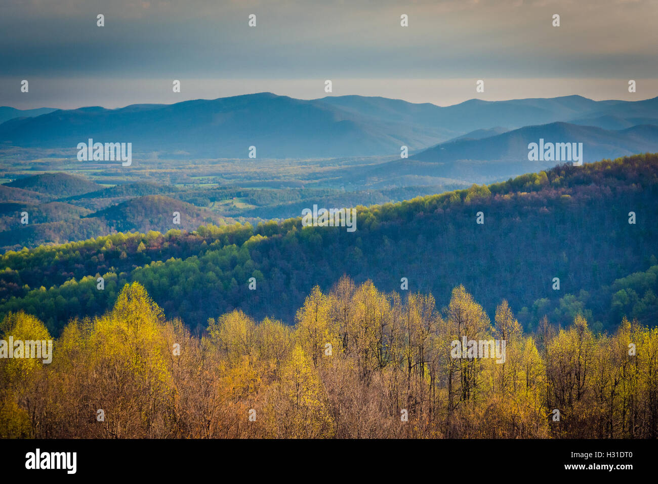 Printemps vue sur le Blue Ridge et Shenandoah Valley de Skyline Drive, dans le Parc National Shenandoah, en Virginie. Banque D'Images