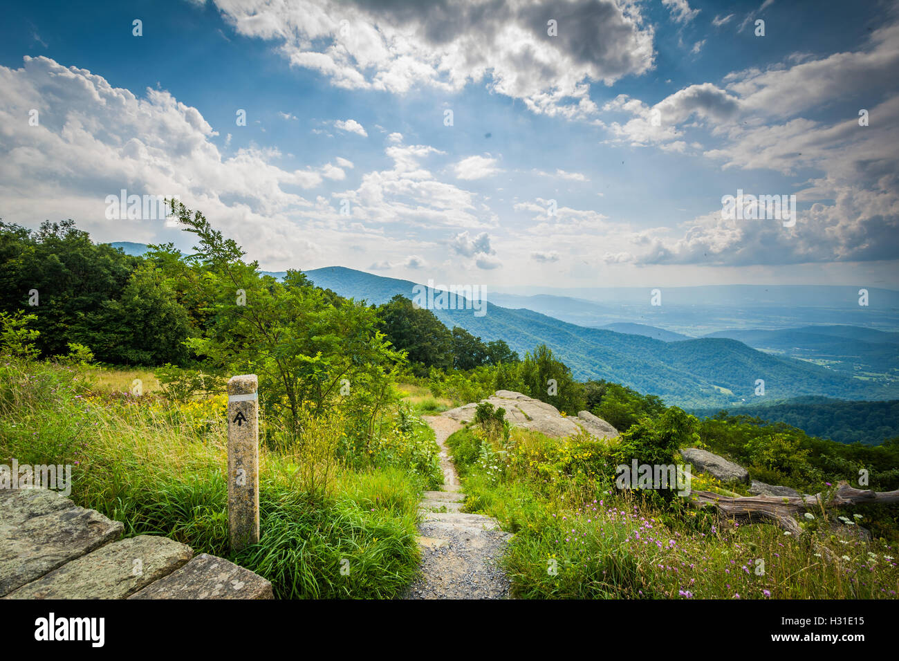 Le sentier des Appalaches et la vue des Blue Ridge Mountains dans le Parc National Shenandoah, en Virginie. Banque D'Images