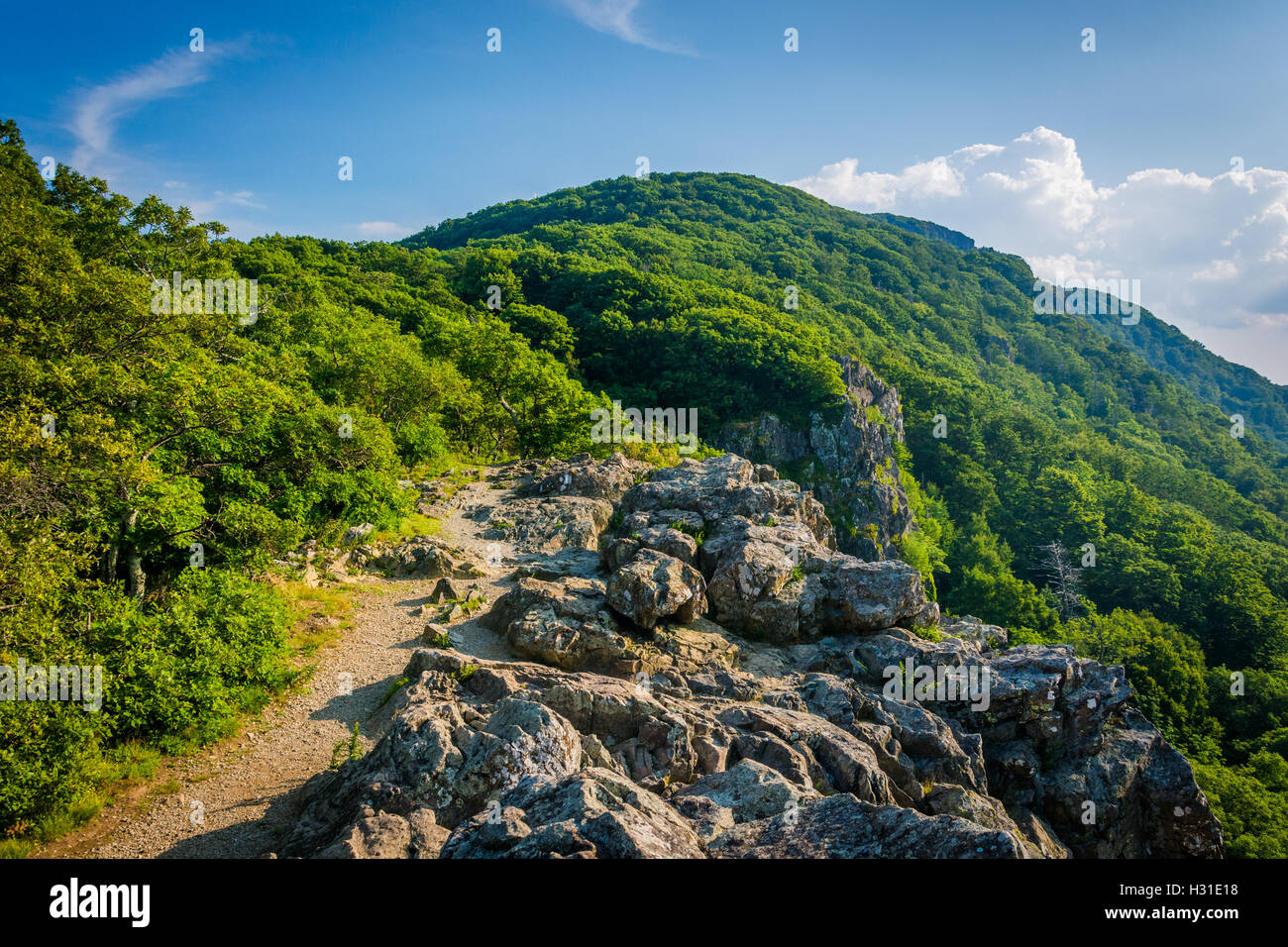 Le sentier des Appalaches sur le sommet de falaises Little Stony Man, dans le Parc National Shenandoah, en Virginie. Banque D'Images