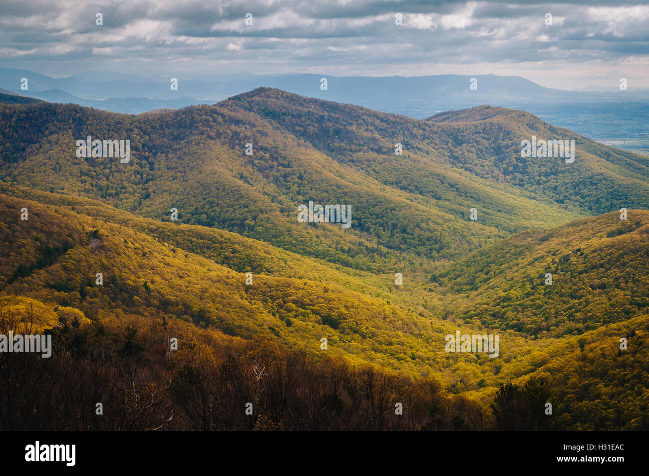 Avis de couleur des ressorts dans les montagnes Blue Ridge de Blackrock Sommet, dans le Parc National Shenandoah, en Virginie. Banque D'Images
