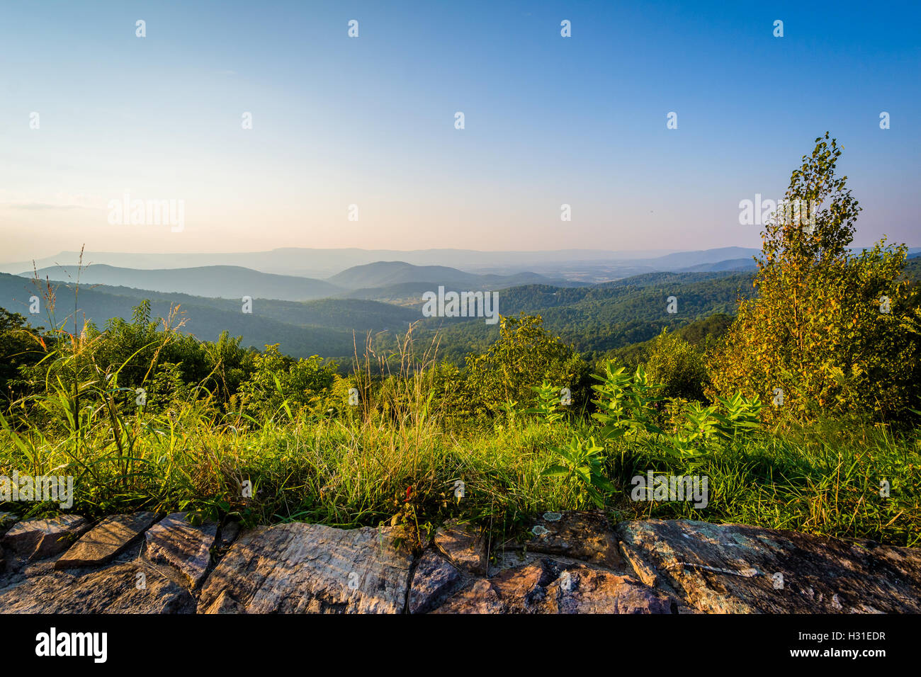 Vue sur les montagnes Blue Ridge de Skyline Drive, dans le Parc National Shenandoah, en Virginie. Banque D'Images