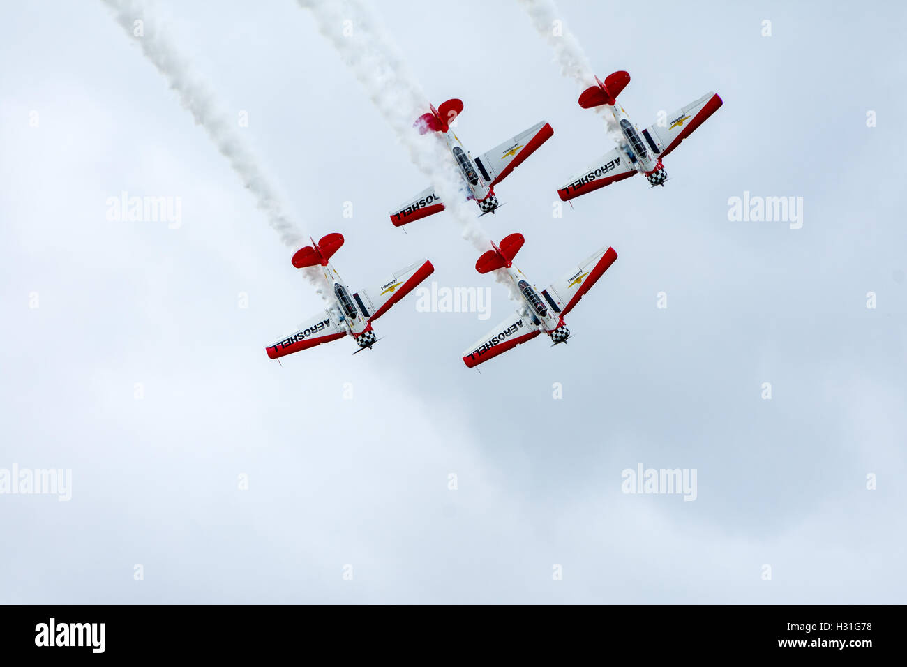 Quatre North American T-6 Texan en formation Banque D'Images